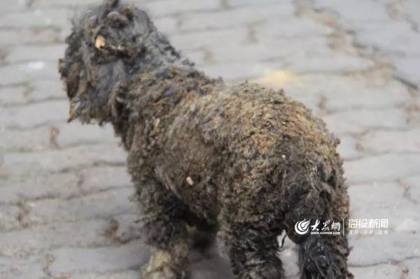 突發！青島一居民樓發生爆燃！已造1人死亡，7人受傷！3公里外有震感…