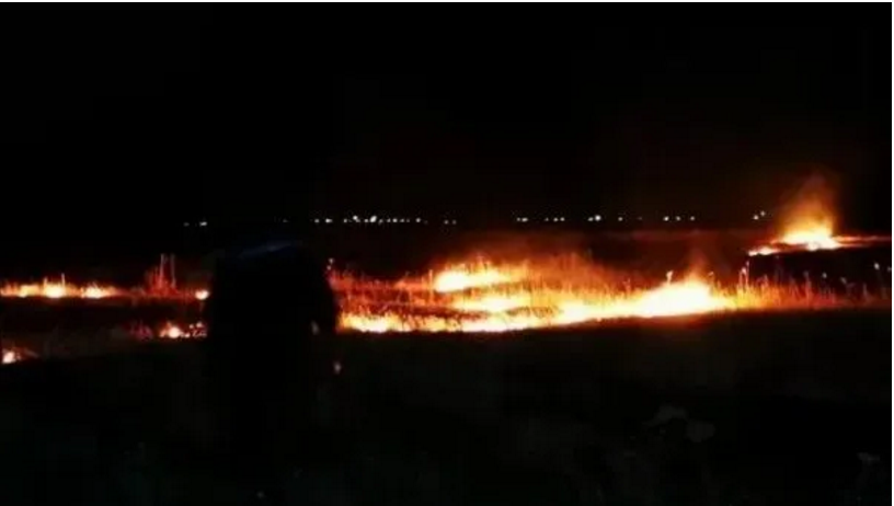 1608089169560435.png 圖片.png